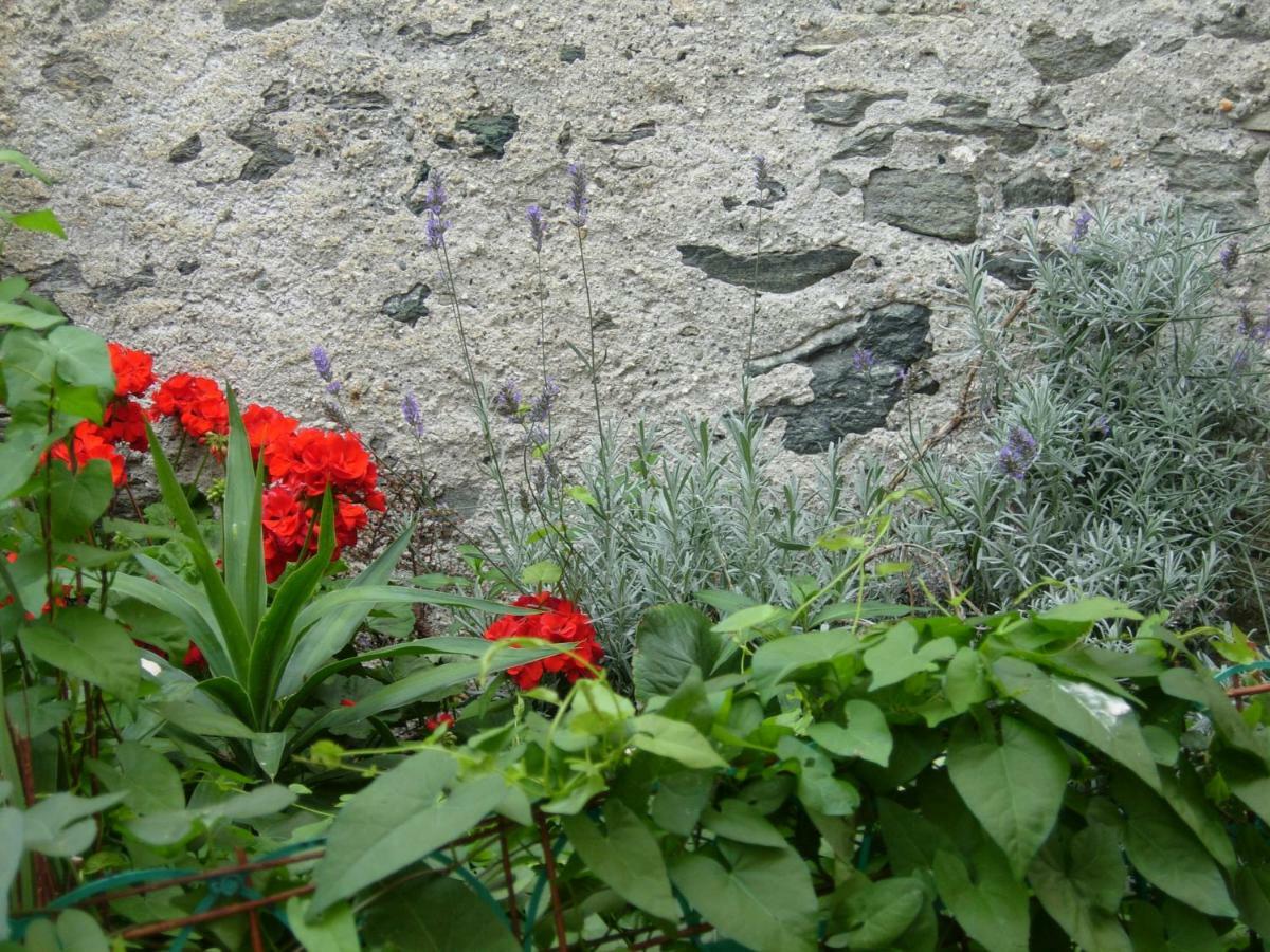 Verrès Martorey Cir 10 מראה חיצוני תמונה